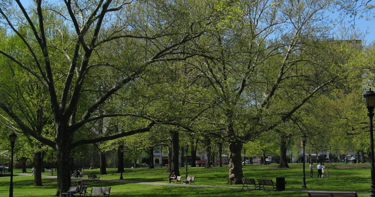 New Haven, CT — NewHavenGreen4958